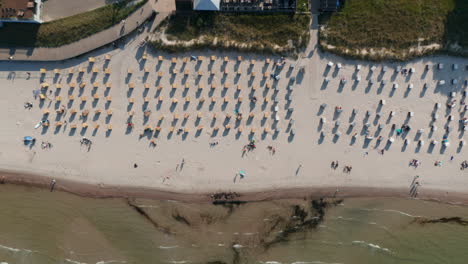 Tourist-beach-in-Baltic-sea-seen-from-aerial-birds-eye-overhead-top-down-drone-view,-beach-with-chairs-and-tourists-enjoying-the-summertime-sun,-sideways,-day
